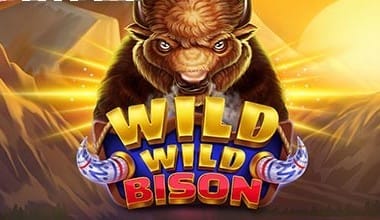 Wild Wild Bison